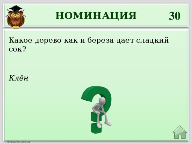 30 НОМИНАЦИЯ Какое дерево как и береза дает сладкий сок? Клён 