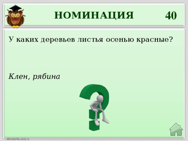 40 НОМИНАЦИЯ У каких деревьев листья осенью красные? Клен, рябина 