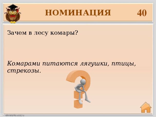 40 НОМИНАЦИЯ Зачем в лесу комары? Комарами питаются лягушки, птицы, стрекозы. 