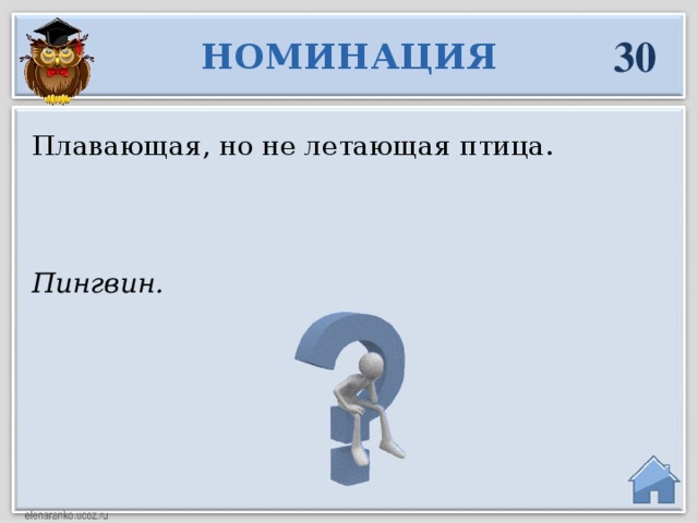 30 НОМИНАЦИЯ Плавающая, но не летающая птица. Пингвин.  