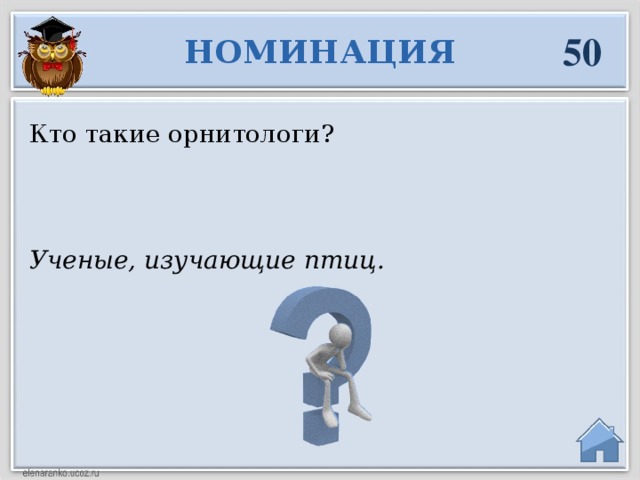 50 НОМИНАЦИЯ Кто такие орнитологи? Ученые, изучающие птиц.  