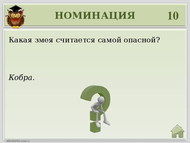 10 НОМИНАЦИЯ Какая змея считается самой опасной? Кобра. 