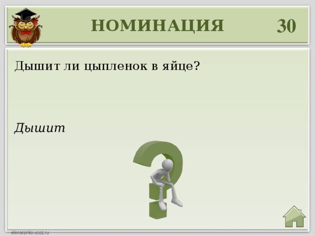 30 НОМИНАЦИЯ Дышит ли цыпленок в яйце? Дышит 