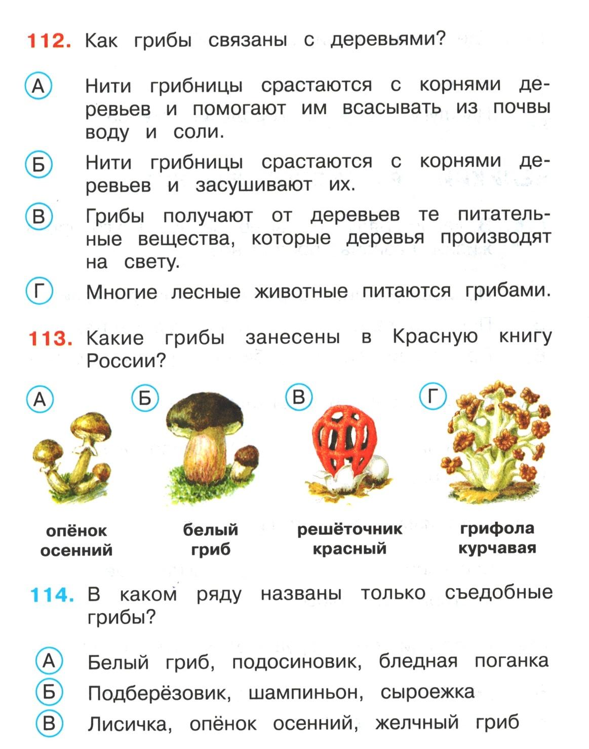 Схема слова гриб