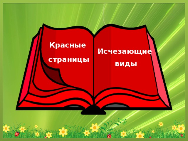 План урока по окружающему миру 2 класс красная книга