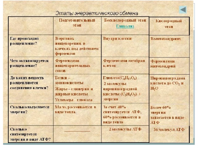 Использование энергии Механические процессы Транспорт Химические процессы Электрические процессы  