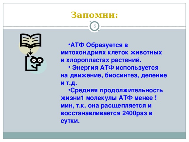 Запомни:  АТФ Образуется в митохондриях клеток животных и хлоропластах растений.  Энергия АТФ используется на движение, биосинтез, деление и т.д. Средняя продолжительность жизни1 молекулы АТФ менее !мин, т.к. она расщепляется и восстанавливается 2400раз в сутки.   
