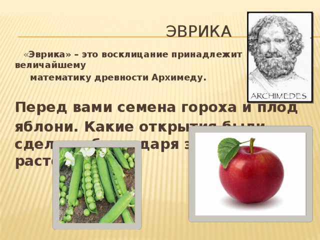  эврика  « Эврика» – это восклицание принадлежит величайшему  математику древности Архимеду.  Перед вами семена гороха и плод яблони. Какие открытия были сделаны благодаря этим растениям? 