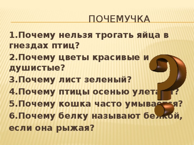  Почемучка 1.Почему нельзя трогать яйца в гнездах птиц? 2.Почему цветы красивые и душистые? 3.Почему лист зеленый? 4.Почему птицы осенью улетают? 5.Почему кошка часто умывается? 6.Почему белку называют белкой, если она рыжая? 