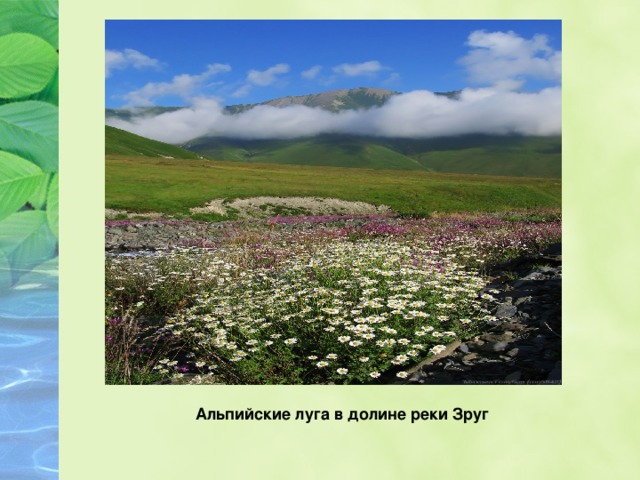    Альпийские луга в долине реки Зруг     