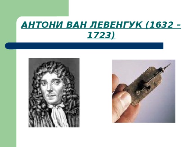 Антони ван левенгук вклад в биологию. Антони Ван Левенгук. Антони Ван Левенгук встреча Петром 1. Антони Ван Левенгук. Этот эукариотическим. Рисунки Левенгука