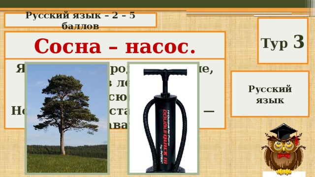 Русский язык – 2 – 5 баллов Тур 3 «Анаграмма» Сосна – насос.  Я — дерево в родной стране, Найдешь в лесах меня повсюду, Но слоги перестань во мне — И воду подавать я буду. Русский язык 