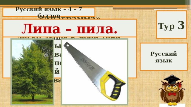 Русский язык – 4 – 7 баллов Тур 3 «Анаграмма» Липа – пила.  Легко дыша в моей тени, Меня ты летом часто хвалишь. Но буквы перестань мои — И целый лес ты мною свалишь. Русский язык 