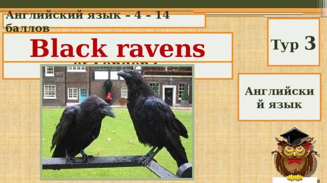 Английский язык – 4 – 14 баллов Тур 3 What birds live in the tower of London? Black ravens Английский язык 