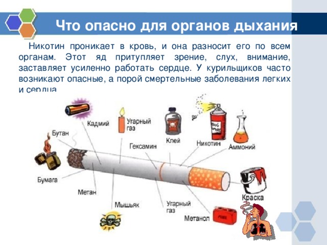 Что опасно для органов дыхания  Никотин проникает в кровь, и она разносит его по всем органам. Этот яд притупляет зрение, слух, внимание, заставляет усиленно работать сердце. У курильщиков часто возникают опасные, а порой смертельные заболевания легких и сердца. 