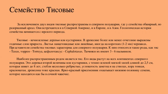 Семейство Тисовые  За исключением двух видов тисовые распространены в северном полушарии, где у семейства обширный, но разорванный ареал. Они встречаются и в Северной Америке, и в Европе, и в Азии. Геологическая история семейства начинается с юрского периода.  Тисовые - вечнозеленые деревья или кустарники. В древесине более или менее отчетливо выражены годичные слои прироста. Листья ланцетовидные или линейные, иногда на коротких (1-2 мм) черешках. Представители семейства тисовых характерны для северного полушария. К ним относятся такие роды, как тис - Taxus, торрея - Тоrrеуа, цефалотаксус - Cephalotaxus. Тычинки их имеют 3 - 6 пыльников.   Наиболее распространенным родом является тис. Его виды растут на всех континентах северного полушария. Это деревья второй величины или кустарники, с темно-зеленой мягкой хвоей длиной до 2,5 см, которая живет до 8 лет, стебли несколько ребристые, угловатость заметна и на стволах, кора тонкая, красноватая, древесина тоже красная. Ярко-красный присеменник охватывает нижнюю половину семени, которое находится как бы в сочной чашечке. 