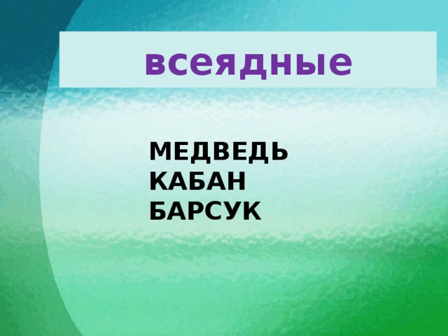 всеядные Медведь Кабан Барсук 