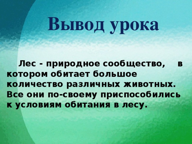 Вывод урока  Лес - природное сообщество, в котором обитает большое количество различных животных. Все они по-своему приспособились к условиям обитания в лесу. 