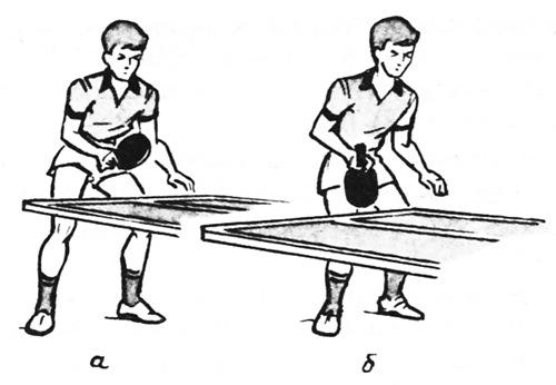 Можно ли касаться стола рукой без ракетки и другой частью тела в настольном теннисе