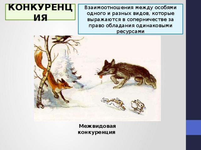 Межвидовые взаимоотношения презентация 11 класс