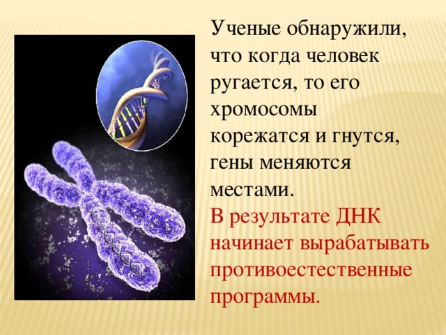 Ученые обнаружили, что когда человек ругается, то его хромосомы корежатся и гнутся, гены меняются местами. В результате ДНК начинает вырабатывать противоестественные программы. 