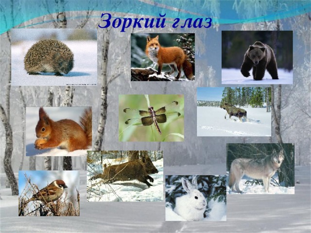 Зоркий глаз 
