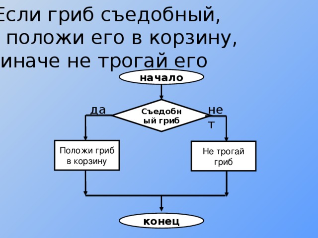 Написать алгоритм сбора съедобных грибов и составить к этому алгоритму блок схему