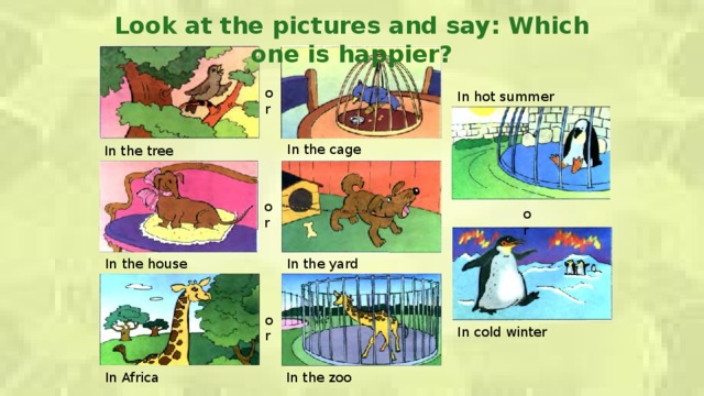 Look at the pictures and say: Which one is happier? or In hot summer In the cage In the tree or or In the house In the yard or In cold winter In the zoo In Africa  