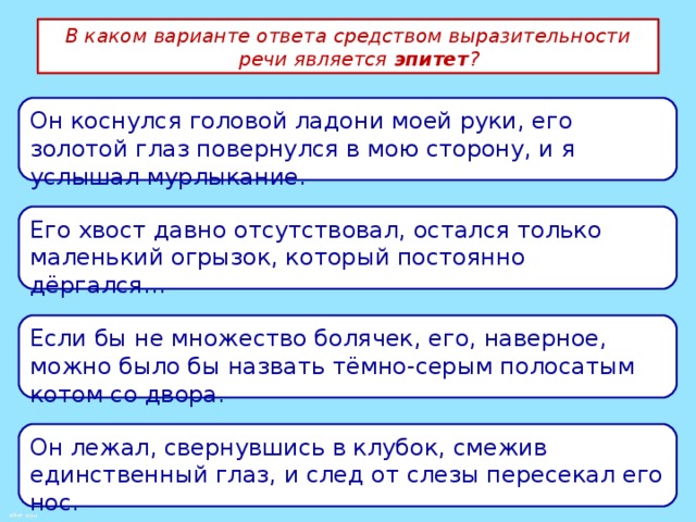 В каком варианте ответа средством выразительности речи является эпитет ? Он коснулся головой ладони моей руки, его золотой глаз повернулся в мою сторону, и я услышал мурлыкание. Его хвост давно отсутствовал, остался только маленький огрызок, который постоянно дёргался… Если бы не множество болячек, его, наверное, можно было бы назвать тёмно-серым полосатым котом со двора. Он лежал, свернувшись в клубок, смежив единственный глаз, и след от слезы пересекал его нос. 