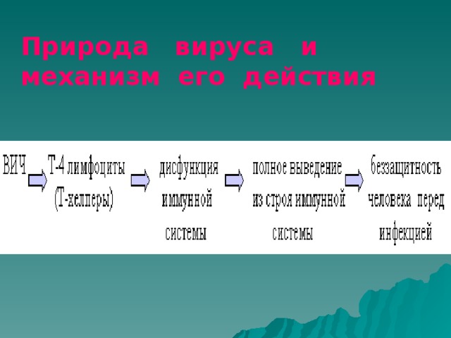Природа вируса и механизм его действия