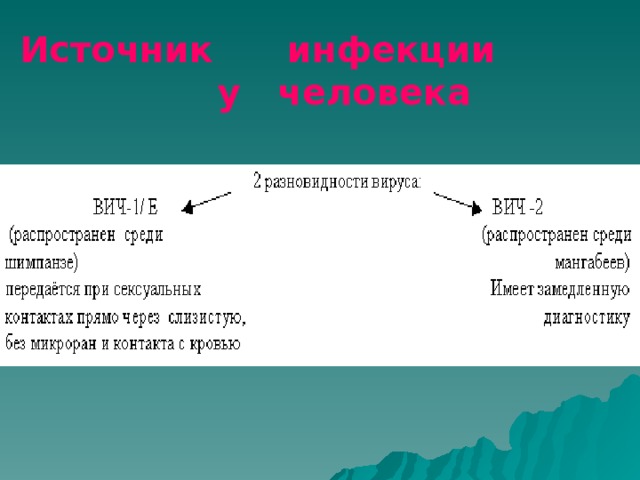 Источник инфекции  у человека