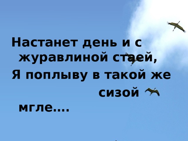 Настанет день и с журавлиной стаей, Я поплыву в такой же  сизой мгле…. 