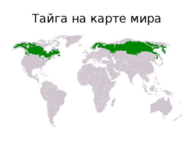 Где тайга карта