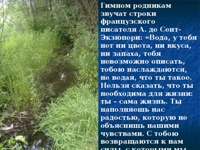 Гимном родникам звучат строки французского писателя А. де Сент-Экзюпери: «Вода, у тебя нет ни цвета, ни вкуса, ни запаха, тебя невозможно описать, тобою наслаждаются, не ведая, что ты такое. Нельзя сказать, что ты необходима для жизни: ты – сама жизнь. Ты наполняешь нас радостью, которую не объяснишь нашими чувствами. С тобою возвращаются к нам силы, с которыми мы уже простились. По твоей милости в нас вновь начинают бурлить высохшие родники нашего сердца» 
