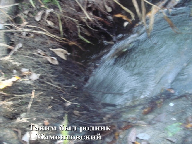 Таким был родник Мамонтовский в 2009 году 