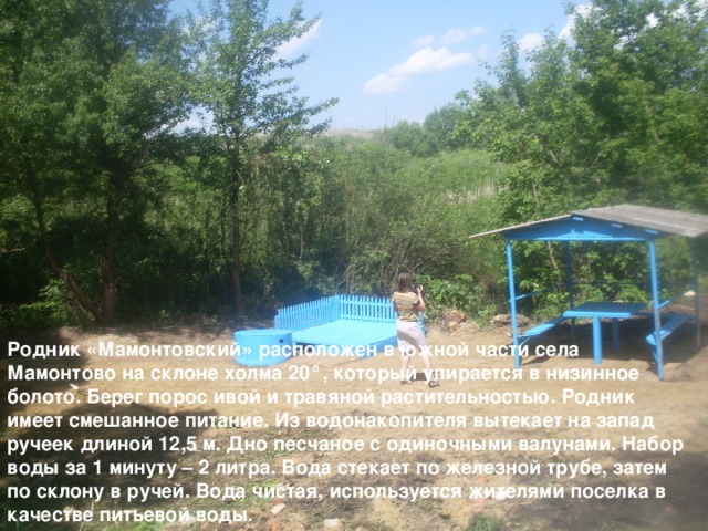 Родник «Мамонтовский» расположен в южной части села Мамонтово на склоне холма 20 ° , который упирается в низинное болото. Берег порос ивой и травяной растительностью. Родник имеет смешанное питание. Из водонакопителя вытекает на запад ручеек длиной 12,5 м. Дно песчаное с одиночными валунами. Набор воды за 1 минуту – 2 литра. Вода стекает по железной трубе, затем по склону в ручей. Вода чистая, используется жителями поселка в качестве питьевой воды. 
