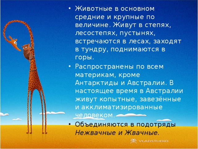 Животные в основном средние и крупные по величине. Живут в степях, лесостепях, пустынях, встречаются в лесах, заходят в тундру, поднимаются в горы. Распространены по всем материкам, кроме Антарктиды и Австралии. В настоящее время в Австралии живут копытные, завезённые и акклиматизированные человеком. Объединяются в подотряды Нежвачные и Жвачные. 