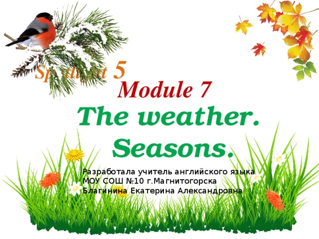 Spotlight 5   Module 7 The weather.  Seasons. Разработала учитель английского языка МОУ СОШ №10 г.Магнитогорска Благинина Екатерина Александровна 