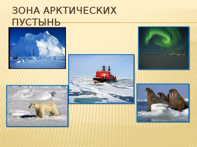 Зона арктических пустынь 