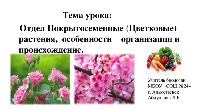  Тема урока:  Отдел Покрытосеменные (Цветковые) растения, особенности организации и происхождение. Учитель биологии МБОУ «СОШ24» г. Альметьевск Абдуллина Л.Р. Учитель биологии МБОУ «СОШ №24» г. Альметьевск Абдуллина Л.Р. 