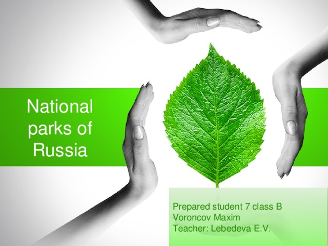 National parks of Russia Prepared student 7 class B Voroncov Maxim Teacher: Lebedeva E.V.