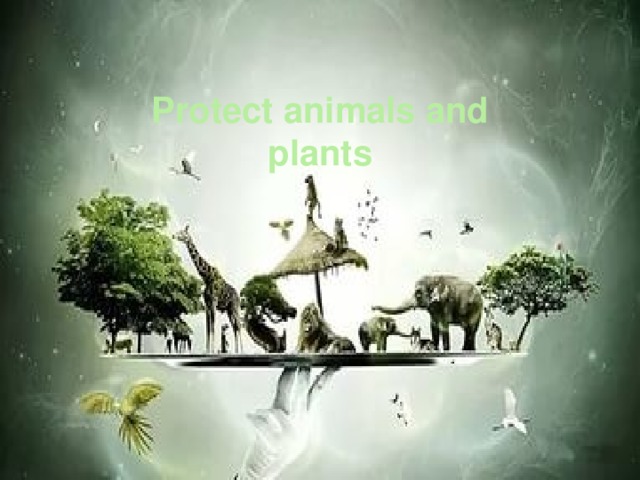 Protect animals and plants