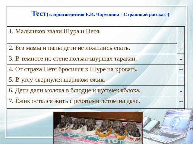 Тест ( к произведению Е.И. Чарушина  «Страшный рассказ») 1. Мальчиков звали Шура и Петя. + - 2. Без мамы и папы дети не ложились спать. 3. В темноте по стене ползал-шуршал таракан. - 4. От страха Петя бросился к Шуре на кровать. + 5. В углу свернулся шариком ёжик. + 6. Дети дали молока в блюдце и кусочек яблока. - 7. Ёжик остался жить с ребятами летом на даче. + Дети выполняют тест в парах. Затем проверка на экране. 