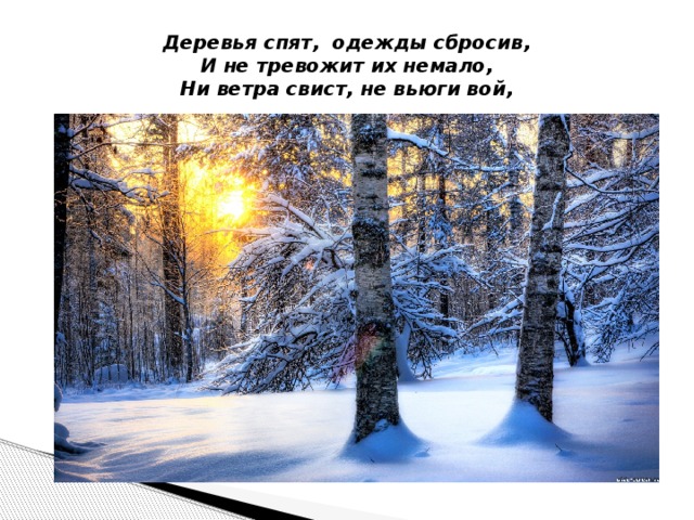 Деревья спят, одежды сбросив,  И не тревожит их немало,  Ни ветра свист, не вьюги вой,