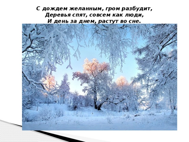 Как называется изображение неживой природы как живого существа дремлет лес под сказку сна