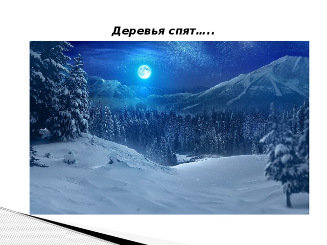 Деревья спят…..