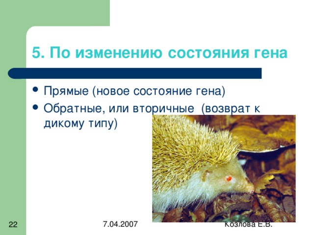 5. По изменению состояния гена 