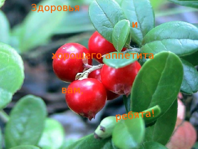 Здоровья ребята! и хорошего аппетита вам, 