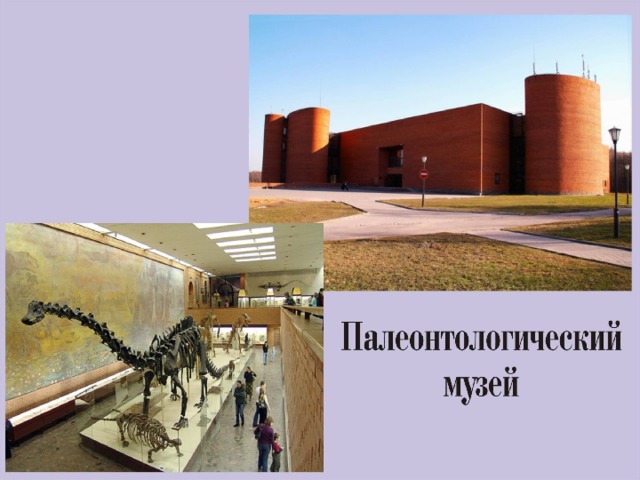 Создание проекта школьного палеонтологического музея