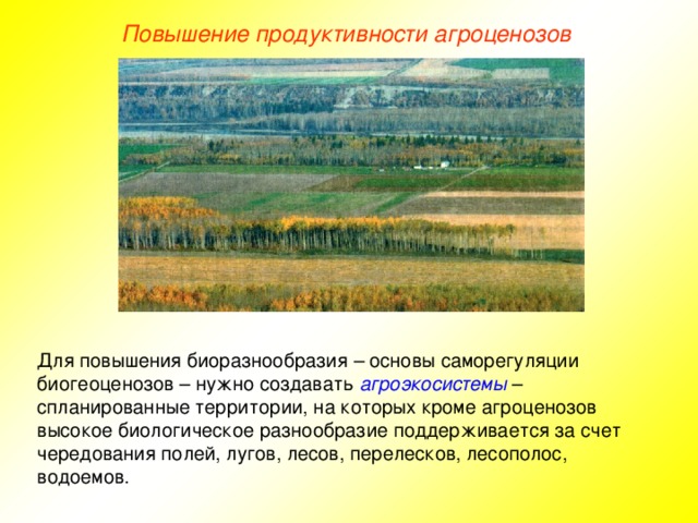 Повышение продуктивности агроценозов   Для повышения биоразнообразия – основы саморегуляции биогеоценозов – нужно создавать агроэкосистемы – спланированные территории, на которых кроме агроценозов высокое биологическое разнообразие поддерживается за счет чередования полей, лугов, лесов, перелесков, лесополос, водоемов.  